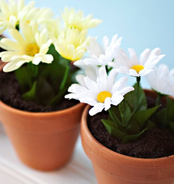 dirt cakes in flowerpots