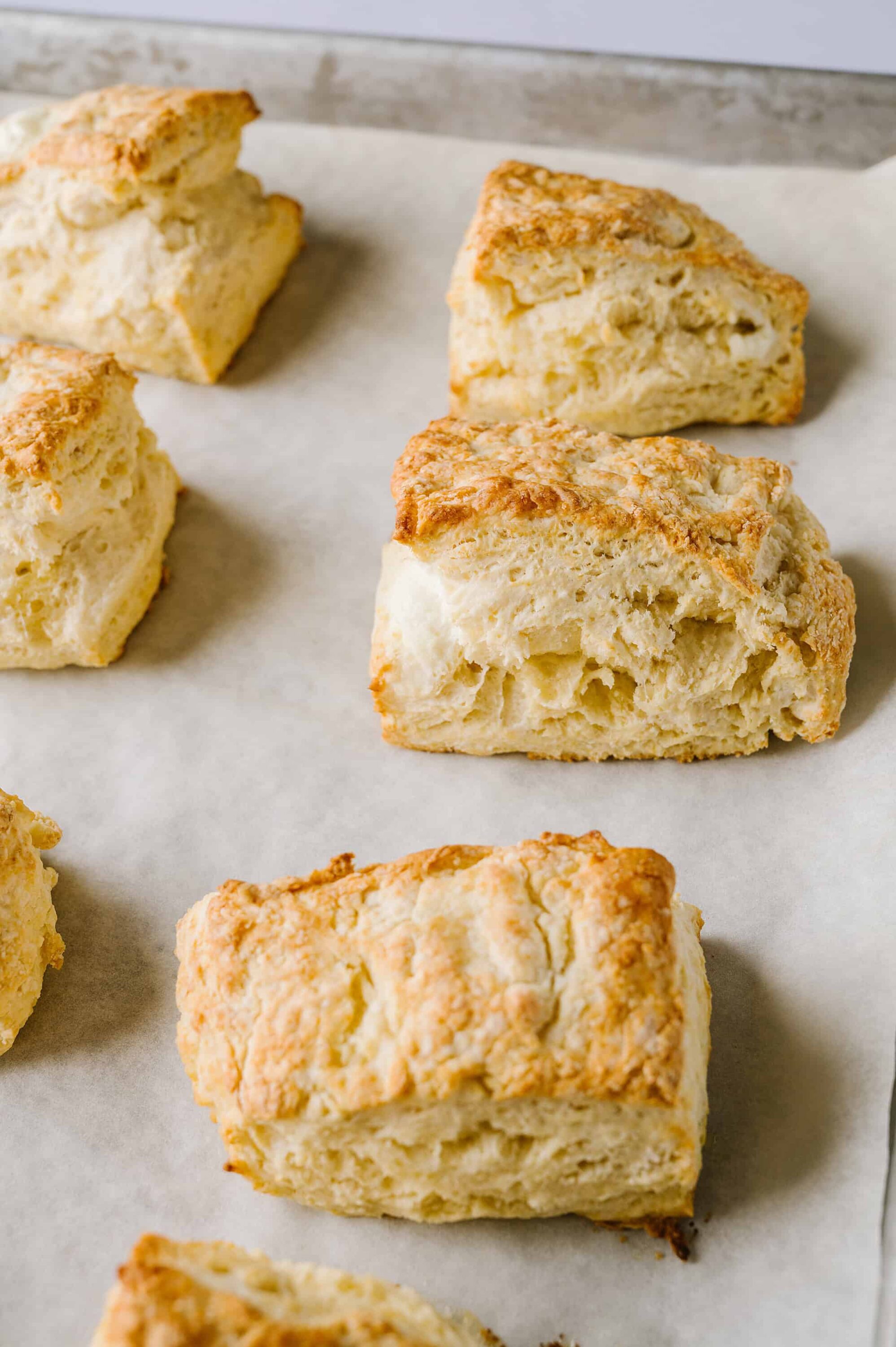 Fluffy homemade biscuit scones, golden-brown, fresh out of the oven. Perfect for breakfast or brunch.