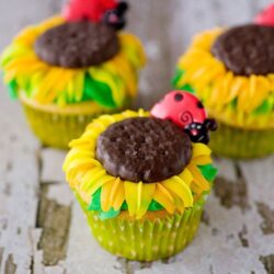 Colorful ladybug cupcakes with chocolate cookies and vibrant frosting, perfect for spring or kids' parties.