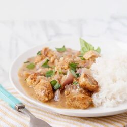 Savory chicken and rice gravy served with fresh herbs and fluffy white rice on a white plate.