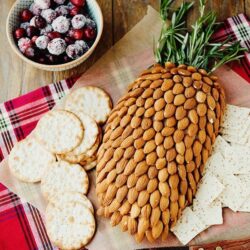 Almond Pine Cone Appetizer with Crackers and Cranberry Dip.