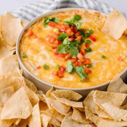 Cheesy baked dip garnished with fresh cilantro and diced tomatoes, served with crispy tortilla chips.