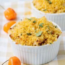 Golden baked macaroni and cheese casserole with crispy breadcrumb topping and fresh cilantro garnish.