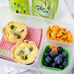 Bright green water bottle and Gogo squeeze in the background with a lunchbox containing two mini quiches, goldfish crackers, and blueberries.
