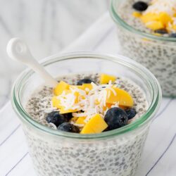 Creamy chia pudding with blueberries, shredded coconut, and mango chunks in glass bowls.