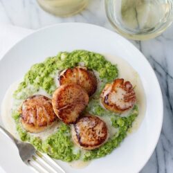 Seared scallops with green pea purée and creamy sauce on white plate, white wine and bottle in background.