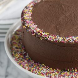 Rich chocolate cake with colorful sprinkles on top and around the base, decorated for celebration.