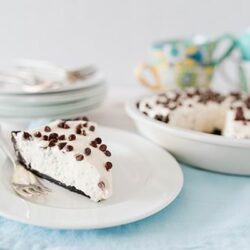 Creamy chocolate chip cheesecake served on a white plate with a silver fork.