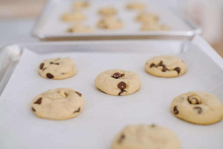 Freshly baked chocolate chip cookies on baking sheet with parchment paper, homemade dessert at Baked Bree.