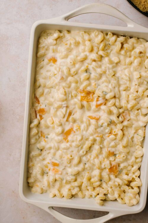 Creamy baked macaroni and cheese in a white casserole dish with cheese and pasta.