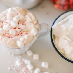 Fluffy hot chocolate topped with mini marshmallows and crushed peppermint.