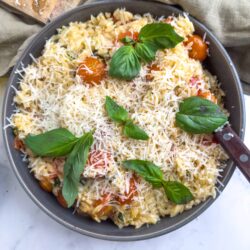 Creamy tomato basil pasta with shredded cheese and fresh basil garnishes.