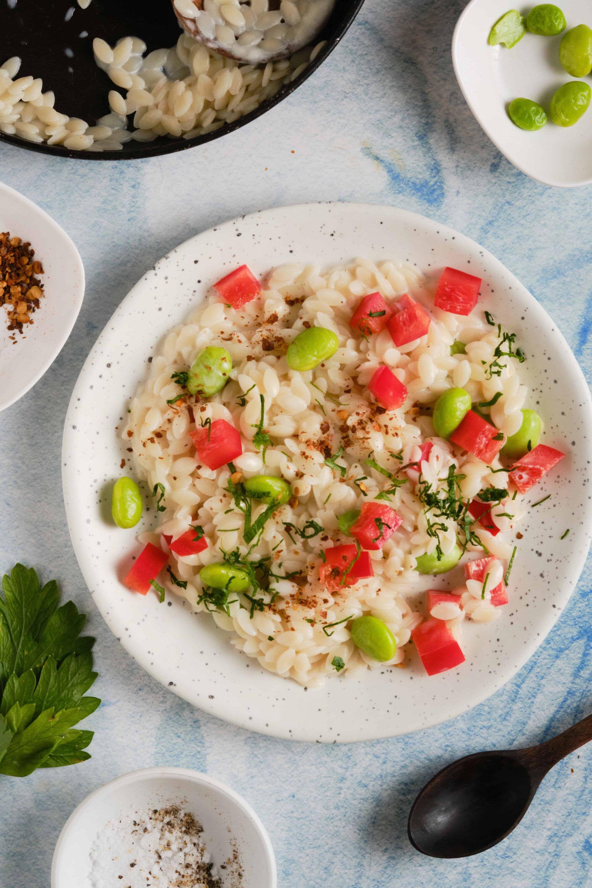 Creamy orzo pasta with fresh herbs, diced tomatoes, and edamame on a white speckled plate.