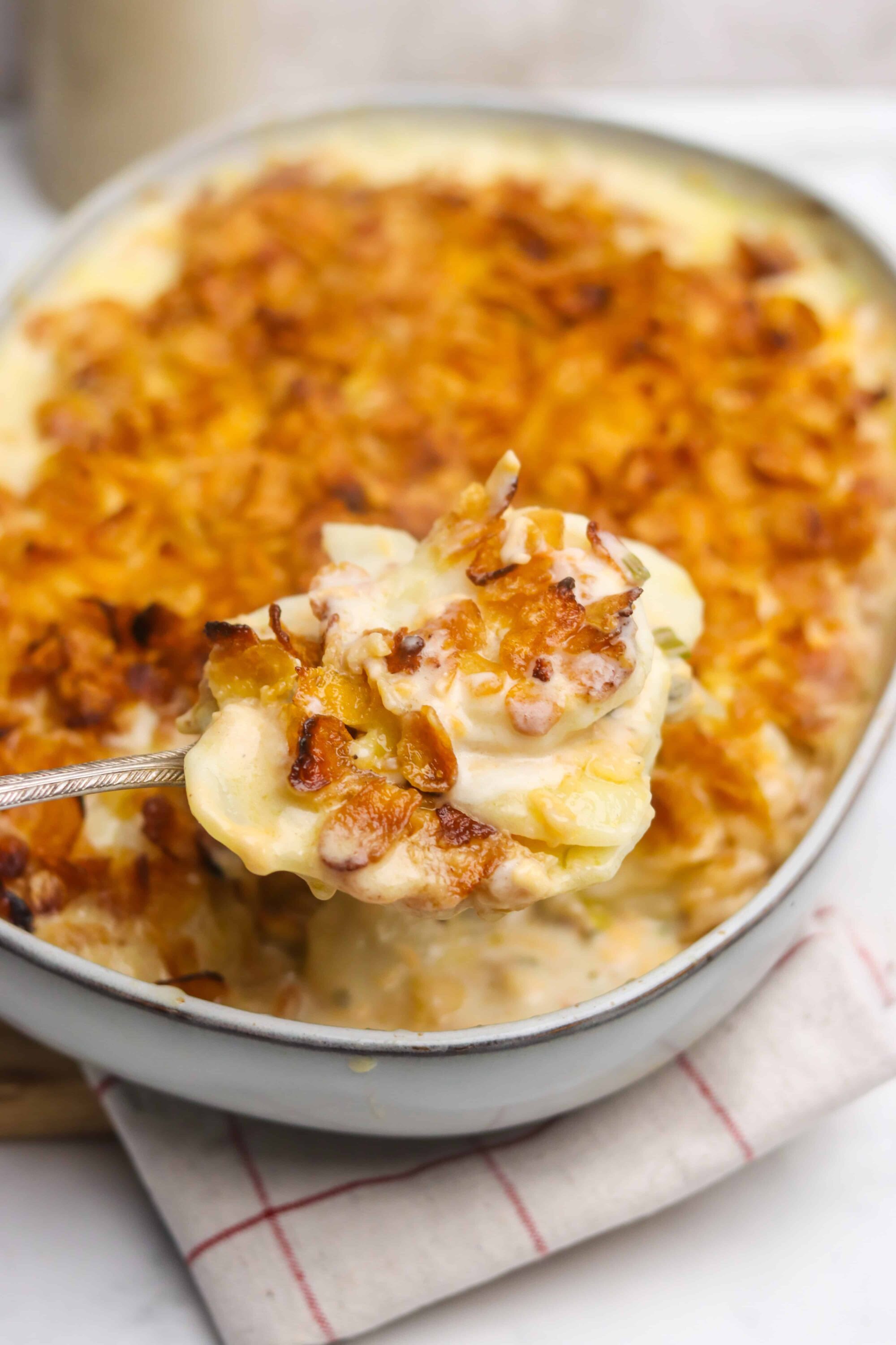 Creamy tater tot casserole with cheese and crispy bacon topping. Perfect comfort food recipe for family dinners.