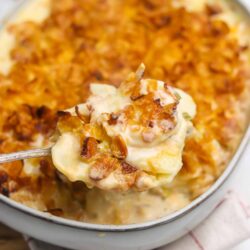 Creamy tater tot casserole with cheese and crispy bacon topping. Perfect comfort food recipe for family dinners.