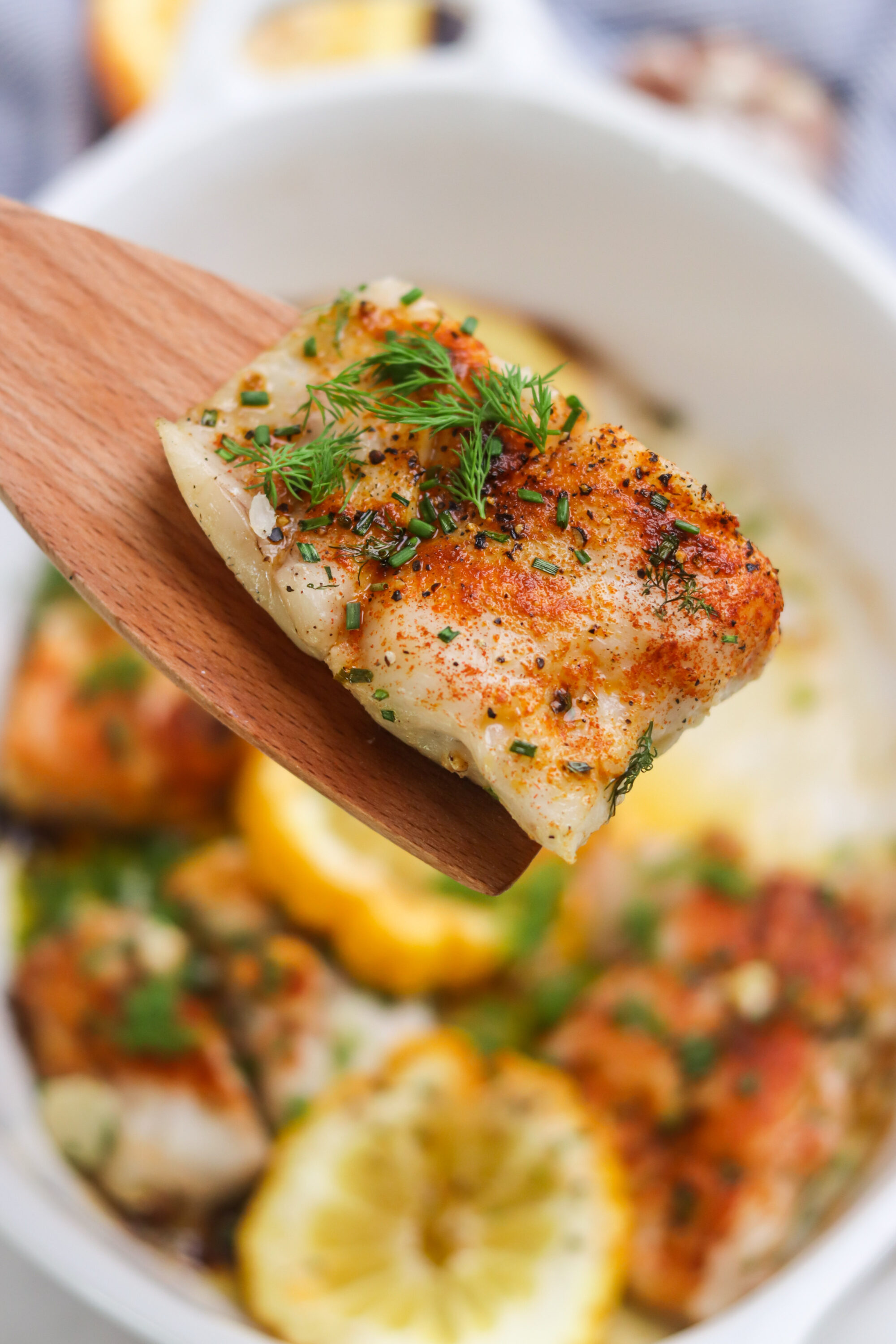 Pan-seared fish with fresh herbs and lemon slices in a white baking dish, flavorful and perfectly cooked seafood recipe.