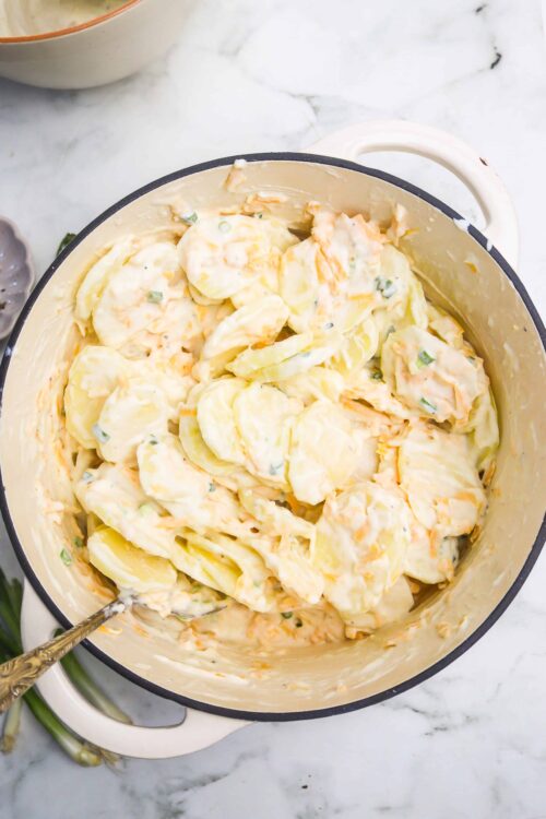 Creamy potato salad with chunks of potatoes, mayonnaise, and green onion. Perfect summer side dish.
