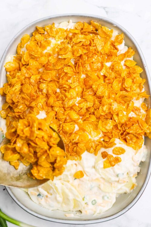 Crispy fried onion topping on delicious potato salad with creamy dressing, perfect for summer picnics.