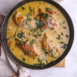 Creamy chicken and herbs in a rich yellow sauce garnished with fresh basil and grated cheese.