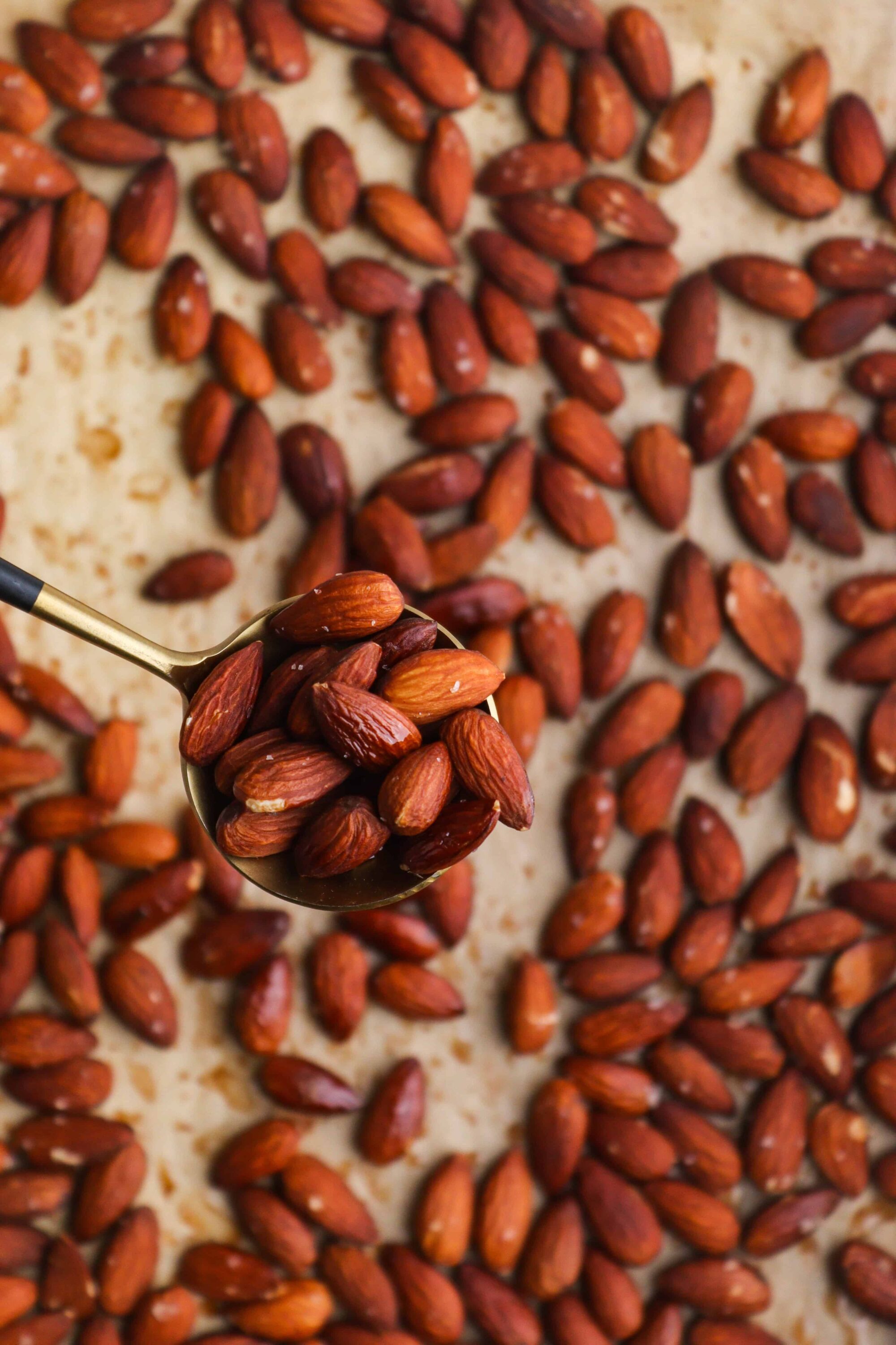 Roasted almonds on baking sheet with spoon.