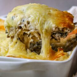 Cheesy beef and mushroom lasagna coming out of oven, topped with melted cheese.