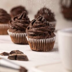 Chocolate cupcakes with swirled frosting on white background.