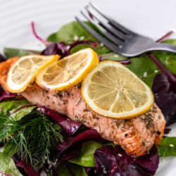 Juicy baked salmon with lemon slices on mixed greens salad. Healthy, flavorful seafood dish perfect for dinner or lunch.