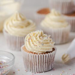 Buttercream frosting cupcake with rainbow sprinkles, vanilla cake dessert, homemade baking, celebration treat, Baked Bree.