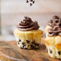 Fudgy chocolate chip cupcake topped with rich chocolate frosting and sprinkled chocolate chips.