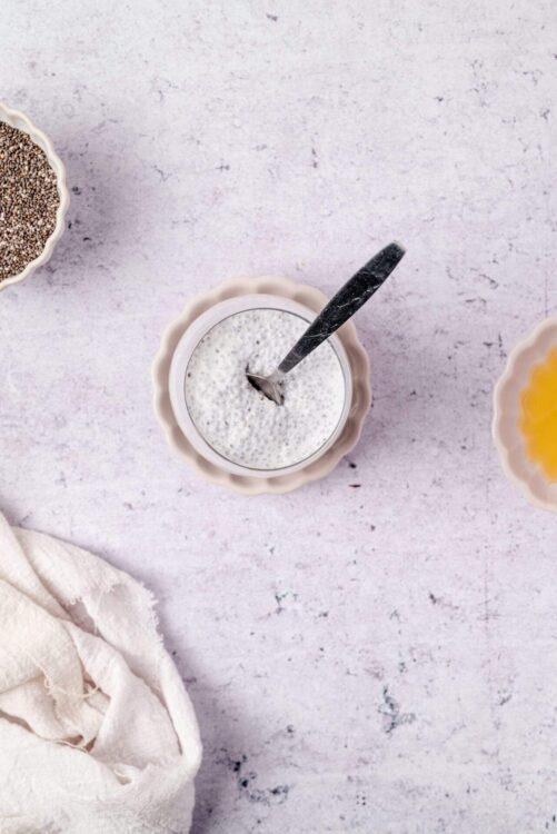 Creamy coconut chia pudding in a decorative bowl, ready to serve as a healthy breakfast or snack.