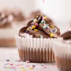 Delicious chocolate cupcake topped with colorful sprinkles, perfect for celebrations and baking inspiration.