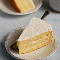 Delicious vanilla layer cake with fluffy frosting on a decorative plate.