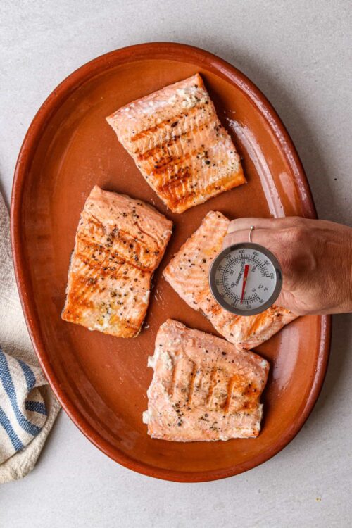 Raw salmon steaks on a terracotta dish, being checked with a thermometer for perfect doneness.