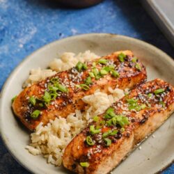 Salmon with rice and green onions on a ceramic plate.