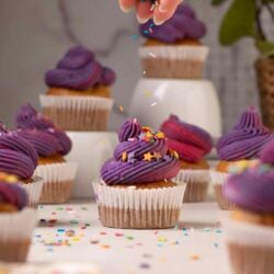 Colorful cupcakes with purple frosting and sprinkles on a white surface.