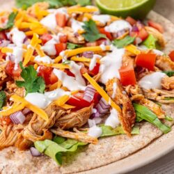 Savory shredded chicken taco with cheese, vegetables, and lime on tortilla.