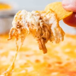 Melty cheesy chicken dip with tortilla chip close-up, baked to perfection.