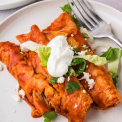 Crispy chicken taquitos with melted cheese and fresh cilantro on a white plate.