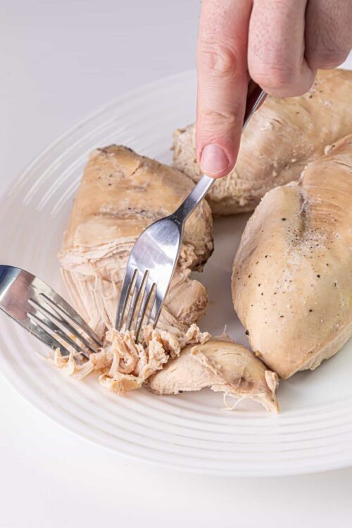Tender cooked chicken being shredded on a white plate with forks.