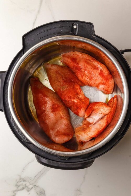 Raw chicken breasts seasoned with spices in an instant pot.