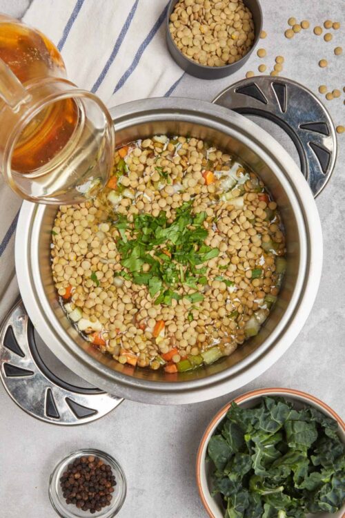 Lentil soup cooking in a slow cooker with vegetables and herbs in the image.