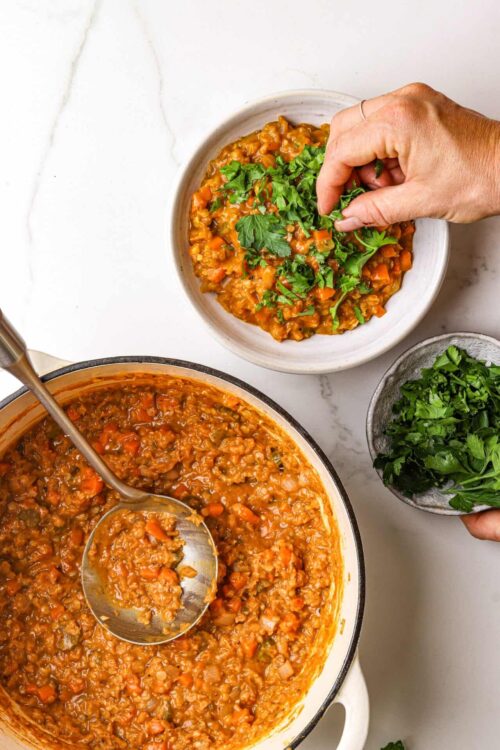 Creamy vegetable chili topped with fresh cilantro in a white bowl.