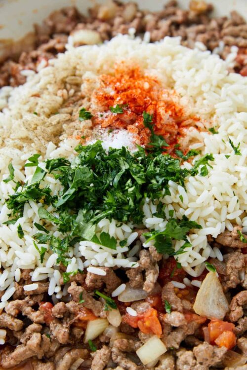 Minced beef, rice, herbs, and spices in a close-up cooking scene.