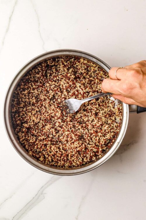 Mixed Quinoa in a stainless steel pot, ready for cooking or serving.