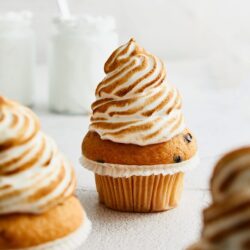Soft serve ice cream cupcake with cinnamon swirl frosting and chocolate chip muffin base.