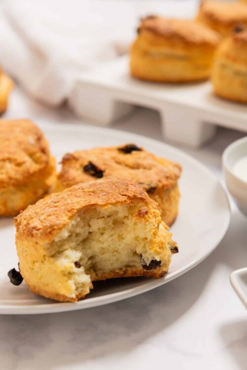 Fluffy homemade blueberry scones on a white plate, fresh baked breakfast pastries, recipe from Baked Bree.