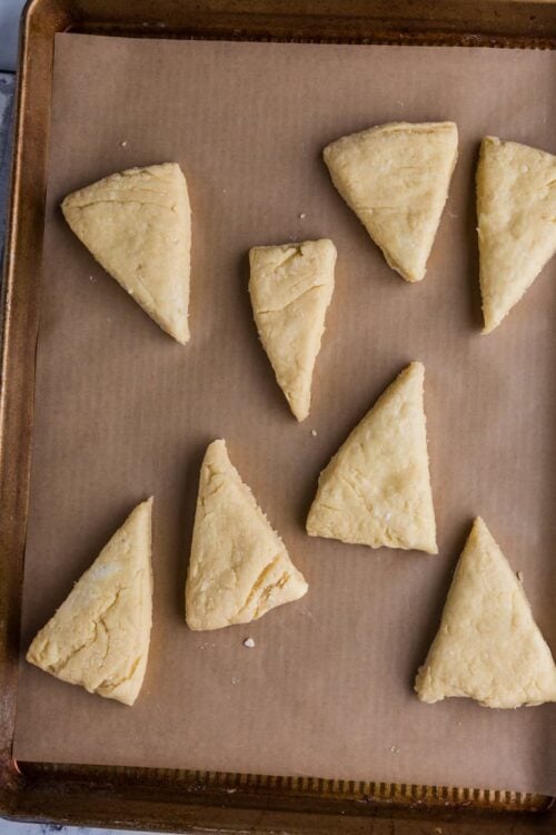 Buttery scones baking on a parchment-lined tray.