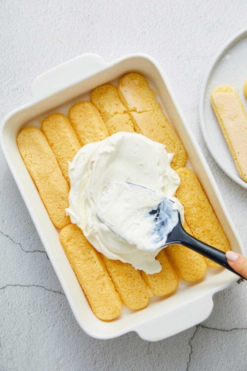 Butterscotch ladyfingers with cream in a baking dish for tiramisu dessert.