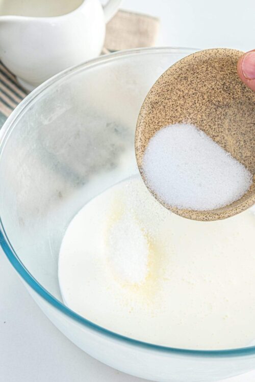 Fine grain granulated sugar being added to whipped cream in a mixing bowl for baking.