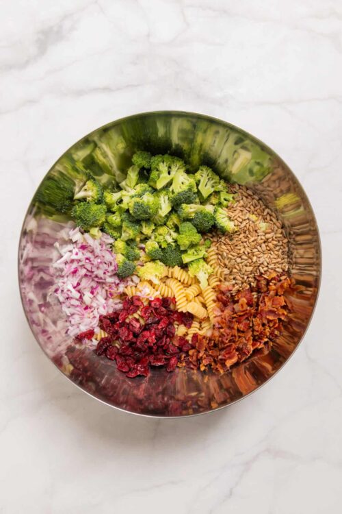 Fresh broccoli, radicchio, rotini pasta, sunflower seeds, chopped bacon, dried cranberries in a stainless steel mixing bowl.